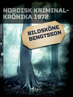  - Bildsköne Bengtsson, e-bok