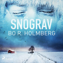 Holmberg, Bo R. - Snögrav, audiobook
