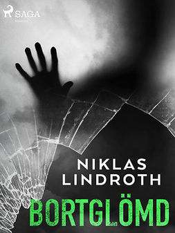 Lindroth, Niklas - Bortglömd, ebook