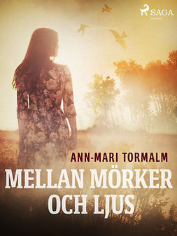 Tormalm, Ann-Mari - Mellan mörker och ljus, ebook