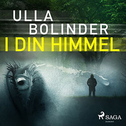 Bolinder, Ulla - I din himmel, audiobook