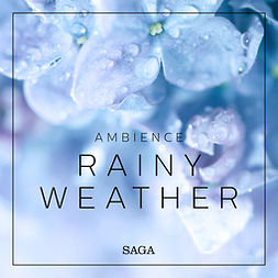 Broe, Rasmus - Ambience - Rainy Weather, äänikirja