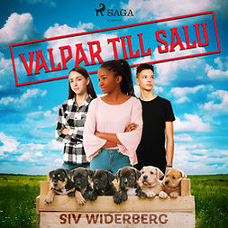 Widerberg, Siv - Valpar till salu, audiobook