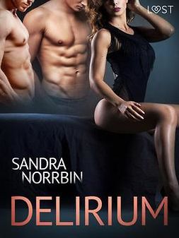 Norrbin, Sandra - Delirium - eroottinen novelli, e-bok