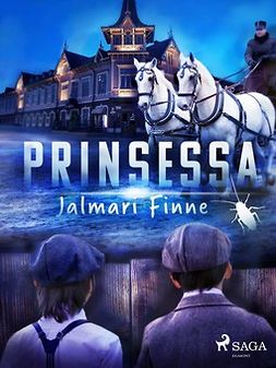 Finne, Jalmari - Prinsessa, e-kirja