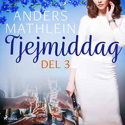 Mathlein, Anders - Tjejmiddag del 3, audiobook