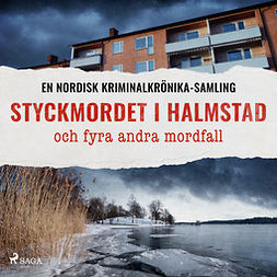 Diverse - Styckmordet i Halmstad och fyra andra mordfall, audiobook