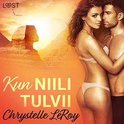 Leroy, Chrystelle - Kun Niili tulvii - eroottinen novelli, äänikirja