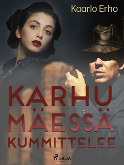 Erho, Kaarlo - Karhumäessä kummittelee, e-bok