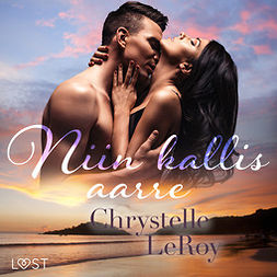 Leroy, Chrystelle - Niin kallis aarre - eroottinen novelli, audiobook