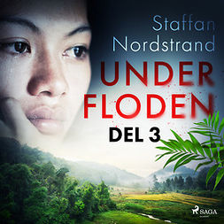 Nordstrand, Staffan - Under floden - del 3, äänikirja