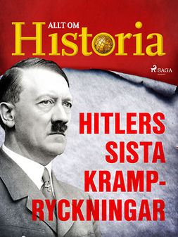  - Hitlers sista krampryckningar, ebook