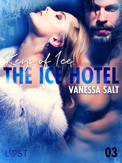 Salt, Vanessa - The Ice Hotel 3: Keys of Ice - Erotic Short Story, ebook