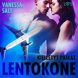 Salt, Vanessa - Kielletyt paikat: Lentokone - eroottinen novelli, audiobook