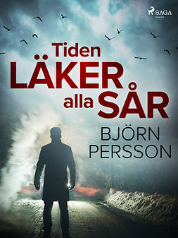 Persson, Björn - Tiden läker alla sår, e-bok