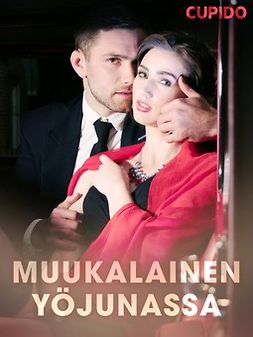  - Muukalainen yöjunassa, ebook