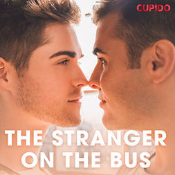 Anderson, Alessandra - The Stranger on the Bus, audiobook