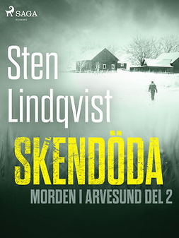 Lindqvist, Sten - Skendöda, e-bok