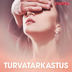 Cupido - Turvatarkastus, äänikirja