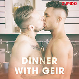 Horne, Leo - Dinner with Geir, audiobook