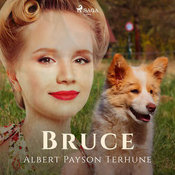 Terhune, Albert Payson - Bruce, audiobook