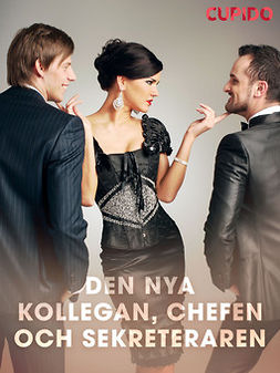  - Den nya kollegan, chefen och sekreteraren, ebook