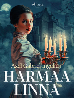 Ingelius, Axel Gabriel - Harmaa linna, ebook