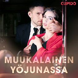 Kumpulainen, Marja-Liisa - Muukalainen yöjunassa, audiobook