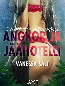 Salt, Vanessa - Angkor ja Jäähotelli: 2 eroottista novellikokoelmaa Vanessa Saltilta, e-bok
