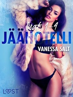 Salt, Vanessa - Jäähotelli osat 1-4: eroottinen novellikokoelma, ebook