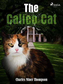 Thompson, Charles Miner - The Calico Cat, ebook