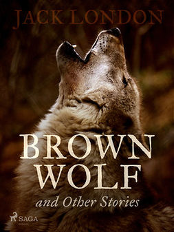 London, Jack - Brown Wolf and Other Stories, ebook
