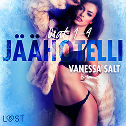 Salt, Vanessa - Jäähotelli osat 1-4: eroottinen novellikokoelma, äänikirja