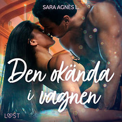 L, Sara Agnès - Den okända i vagnen - erotisk novell, äänikirja