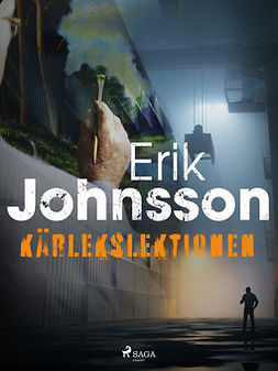 Johnsson, Erik - Kärlekslektionen, ebook