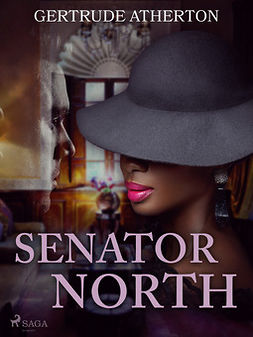 Atherton, Gertrude - Senator North, e-kirja