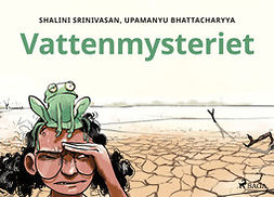 Bhattacharyya, Upamanyu - Vattenmysteriet, ebook