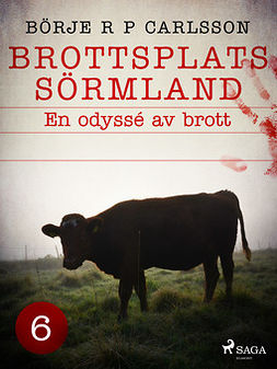 Carlsson, Börje R P - Brottsplats Sörmland. 6, En odyssé av brott, ebook