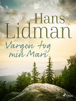 Lidman, Hans - Vargen tog min Mari, ebook