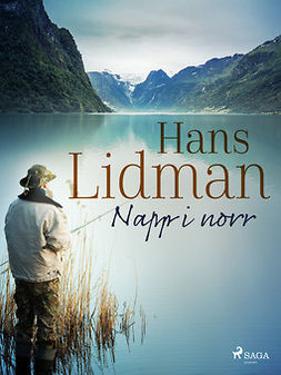 Lidman, Hans - Napp i norr, e-bok