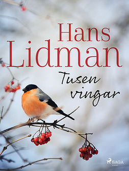 Lidman, Hans - Tusen vingar, ebook