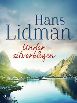 Lidman, Hans - Under silverbågen, ebook