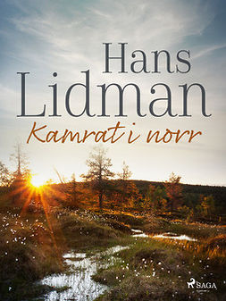 Lidman, Hans - Kamrat i norr, e-bok