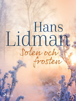 Lidman, Hans - Solen och frosten, e-bok