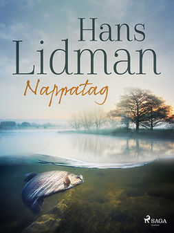 Lidman, Hans - Nappatag, e-bok
