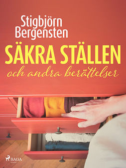 Bergensten, Stigbjörn - Säkra ställen och andra berättelser, ebook
