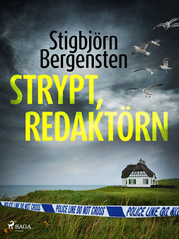 Bergensten, Stigbjörn - Strypt, redaktörn, ebook