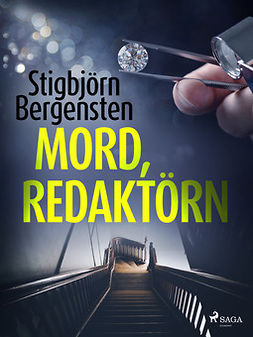 Bergensten, Stigbjörn - Mord, redaktörn, ebook