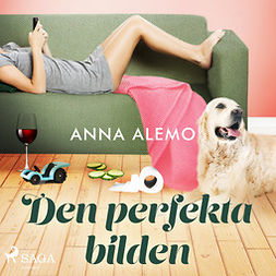 Alemo, Anna - Den perfekta bilden, audiobook