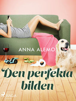 Alemo, Anna - Den perfekta bilden, e-bok